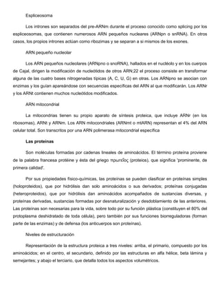 Espliceosoma
Los intrones son separados del pre-ARNm durante el proceso conocido como splicing por los
espliceosomas, que contienen numerosos ARN pequeños nucleares (ARNpn o snRNA). En otros
casos, los propios intrones actúan como ribozimas y se separan a si mismos de los exones.
ARN pequeño nucleolar
Los ARN pequeños nucleolares (ARNpno o snoRNA), hallados en el nucléolo y en los cuerpos
de Cajal, dirigen la modificación de nucleótidos de otros ARN;22 el proceso consiste en transformar
alguna de las cuatro bases nitrogenadas típicas (A, C, U, G) en otras. Los ARNpno se asocian con
enzimas y los guían apareándose con secuencias específicas del ARN al que modificarán. Los ARNr
y los ARNt contienen muchos nucleótidos modificados.
ARN mitocondrial
La mitocondrias tienen su propio aparato de síntesis proteica, que incluye ARNr (en los
ribosomas), ARNt y ARNm. Los ARN mitocondriales (ARNmt o mtARN) representan el 4% del ARN
celular total. Son transcritos por una ARN polimerasa mitocondrial específica
Las proteínas
Son moléculas formadas por cadenas lineales de aminoácidos. El término proteína proviene
de la palabra francesa protéine y ésta del griego πρωτεῖος (proteios), que significa 'prominente, de
primera calidad'.
Por sus propiedades físico-químicas, las proteínas se pueden clasificar en proteínas simples
(holoproteidos), que por hidrólisis dan solo aminoácidos o sus derivados; proteínas conjugadas
(heteroproteidos), que por hidrólisis dan aminoácidos acompañados de sustancias diversas, y
proteínas derivadas, sustancias formadas por desnaturalización y desdoblamiento de las anteriores.
Las proteínas son necesarias para la vida, sobre todo por su función plástica (constituyen el 80% del
protoplasma deshidratado de toda célula), pero también por sus funciones biorreguladoras (forman
parte de las enzimas) y de defensa (los anticuerpos son proteínas).
Niveles de estructuración
Representación de la estructura proteica a tres niveles: arriba, el primario, compuesto por los
aminoácidos; en el centro, el secundario, definido por las estructuras en alfa hélice, beta lámina y
semejantes; y abajo el terciario, que detalla todos los aspectos volumétricos.

 