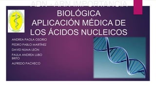ADN - ARN IMPORTANCIA
BIOLÓGICA
APLICACIÓN MÉDICA DE
LOS ÁCIDOS NUCLEICOS
ANDREA PAOLA OSORIO
PEDRO PABLO MARTÍNEZ
DAVID NUMA LEÓN
PAULA ANDREA LUBO
BRITO
ALFREDO PACHECO

 