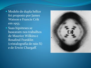  Modelo de dupla hélice
foi proposto por James
Watson e Francis Crik
em 1953.
 Suas hipóteses se
basearam nos trabalhos
de Maurice Wilkins e
Rosalind Franklin
(cristalografia de raio X)
e de Erwin Chargaff.
 