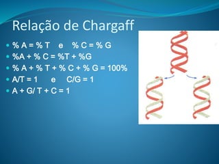  % A = % T e % C = % G
 %A + % C = %T + %G
 % A + % T + % C + % G = 100%
 A/T = 1 e C/G = 1
 A + G/ T + C = 1
Relação de Chargaff
 