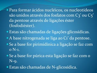  Para formar ácidos nucléicos, os nucleotídeos
são unidos através dos fosfatos com C3’ ou C5’
da pentose através de ligações éster
(fosfodiéster).
 Estas são chamadas de ligações glicosídicas.
 A base nitrogenada se liga ao C1’ da pentose.
 Se a base for pirimidínica a ligação se faz com
o N-1.
 Se a base for púrica esta ligação se faz com o
N-9.
 Estas são chamadas de N-glicosídica.
 