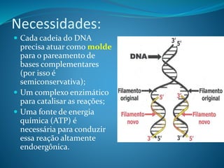 Necessidades:
 Cada cadeia do DNA
precisa atuar como molde
para o pareamento de
bases complementares
(por isso é
semiconservativa);
 Um complexo enzimático
para catalisar as reações;
 Uma fonte de energia
química (ATP) é
necessária para conduzir
essa reação altamente
endoergônica.
 