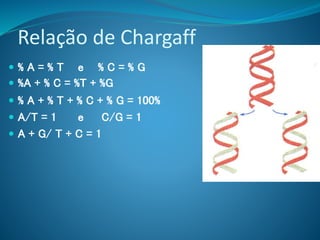  % A = % T e % C = % G
 %A + % C = %T + %G
 % A + % T + % C + % G = 100%
 A/T = 1 e C/G = 1
 A + G/ T + C = 1
Relação de Chargaff
 