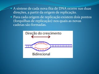  A síntese de cada nova fita de DNA ocorre nas duas
direções, a partir da origem de replicação.
 Para cada origem de replicação existem dois pontos
(forquilhas de replicação) nos quais as novas
cadeias são formadas.
 