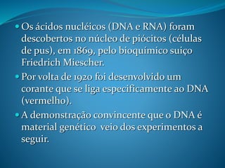  Os ácidos nucléicos (DNA e RNA) foram
descobertos no núcleo de piócitos (células
de pus), em 1869, pelo bioquímico suiço
Friedrich Miescher.
 Por volta de 1920 foi desenvolvido um
corante que se liga especificamente ao DNA
(vermelho).
 A demonstração convincente que o DNA é
material genético veio dos experimentos a
seguir.
 