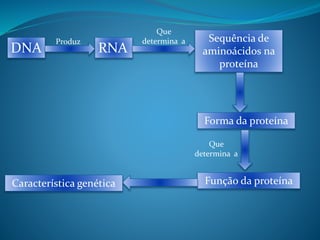 DNA RNA
Produz
Que
determina a Sequência de
aminoácidos na
proteína
Forma da proteína
Que
determina a
Função da proteínaCaracterística genética
 