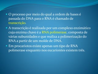  O processo por meio do qual a ordem de bases é
passada do DNA para o RNA é chamado de
transcrição.
 A transcrição é realizada por um complexo enzimático
cuja enzima chave é a RNA polimerase, composta de
várias subunidades e que realiza a polimerização do
RNA a partir de um molde de DNA.
 Em procariotos existe apenas um tipo de RNA
polimerase enquanto nos eucariontes existem três.
 