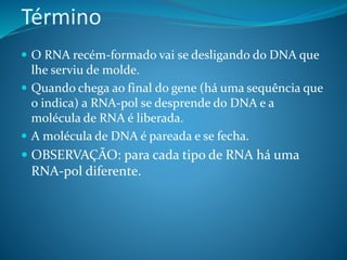 Término
 O RNA recém-formado vai se desligando do DNA que
lhe serviu de molde.
 Quando chega ao final do gene (há uma sequência que
o indica) a RNA-pol se desprende do DNA e a
molécula de RNA é liberada.
 A molécula de DNA é pareada e se fecha.
 OBSERVAÇÃO: para cada tipo de RNA há uma
RNA-pol diferente.
 