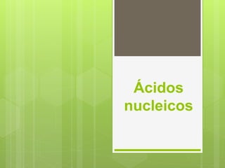 Ácidos
nucleicos
 