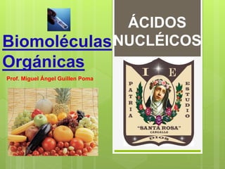 Biomoléculas
Orgánicas
Prof. Miguel Ángel Guillen Poma
ÁCIDOS
NUCLÉICOS
 