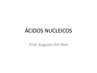 ÁCIDOS NUCLEICOS
Prof. Augusto Del Neri
 