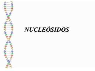 NUCLEÓSIDOS
 
