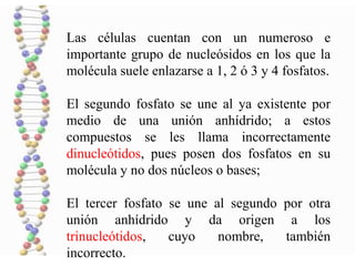 Las células cuentan con un numeroso e
importante grupo de nucleósidos en los que la
molécula suele enlazarse a 1, 2 ó 3 y 4 fosfatos.
El segundo fosfato se une al ya existente por
medio de una unión anhídrido; a estos
compuestos se les llama incorrectamente
dinucleótidos, pues posen dos fosfatos en su
molécula y no dos núcleos o bases;
El tercer fosfato se une al segundo por otra
unión anhídrido y da origen a los
trinucleótidos, cuyo nombre, también
incorrecto.
 