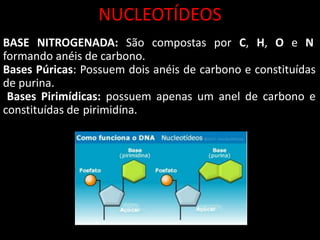 NUCLEOTÍDEOS
BASE NITROGENADA: São compostas por C, H, O e N
formando anéis de carbono.
Bases Púricas: Possuem dois anéis de carbono e constituídas
de purina.
Bases Pirimídicas: possuem apenas um anel de carbono e
constituídas de pirimidína.
 