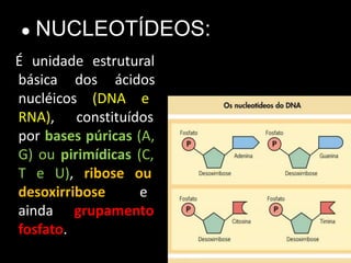 É unidade estrutural
básica dos ácidos
nucléicos (DNA e
RNA), constituídos
por bases púricas (A,
G) ou pirimídicas (C,
T e U), ribose ou
desoxirribose e
ainda grupamento
fosfato.
● NUCLEOTÍDEOS:
 