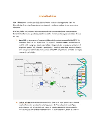 Ácidos Nucleicos
ADN y ARN son los ácidos nucleicos que conforman la base de nuestro genoma. Estas dos
biomoléculas determinan lo que somos como especie y en buena medida, lo que somos como
individuos.
El ADN y el ARN son ácidos nucleicos y macromoléculas que trabajan juntas para preservar y
transmitir la información genética que define todos los elementos vitales y característicos de cada
ser vivo.
 Nucleótido es la estructura fundamental básica de los ácidos nucleicos (ARN y ADN). Un
nucleótido consta de una molécula de azúcar (ya sea ribosa en el ARN o desoxirribosa en
el ADN) unida a un grupo fosfato y a una base nitrogenada. Las bases que se utilizan en el
ADN son la adenina (A), citosina (C), guanina (G) y timina (T). En el ARN, la base uracilo (U)
toma el lugar de la timina. Las moléculas de ADN y ARN son polímeros formados por largas
cadenas de nucleótidos.
 ¿Qué es el ADN?: El ácido desoxirribonucleico (ADN) es un ácido nucleico que contiene
toda la información genética hereditaria que sirve de “manual de instrucción” para
desarrollarnos, vivir y reproducirnos. El ADN se encuentra en el núcleo de las células,
aunque una pequeña parte también se localiza en las mitocondrias, de ahí los términos
 