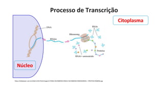 ÁCIDOS NUCLEICOS - DNA (Ácido desoxirribonucleico) | PPTX