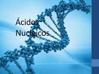 Ácidos
Nucleicos
 