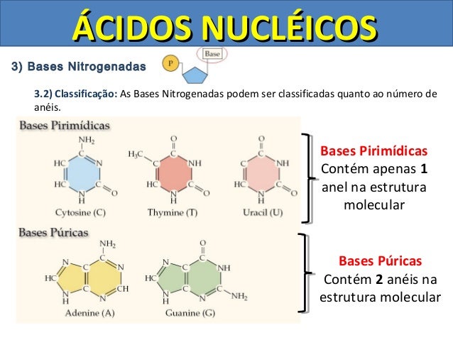 áCidos nucleicos dna e rna