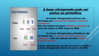 A base nitrogenada pode ser
púrica ou pirimídica.
As bases nitrogenadas púricas são
formadas por um anel de carbono e outro de
nitrogênio.
São em número de duas: adenina e guanina e
ocorrem tanto no DNA como no RNA.
As bases nitrogenadas pirimídicas são
formadas por um único anel de carbono e
nitrogênio. São em número de três: citosina,
timina e uracila.
A base nitrogenada uracila só ocorre no RNA, e
a base nitrogenada timina só ocorre no DNA.
 