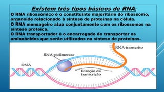 Existem três tipos básicos de RNA:
O RNA ribossômico é o constituinte majoritário do ribossomo,
organoide relacionado à síntese de proteínas na célula.
O RNA mensageiro atua conjuntamente com os ribossomos na
síntese proteica.
O RNA transportador é o encarregado de transportar os
aminoácidos que serão utilizados na síntese de proteínas.
 