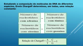 Estudando a composição de moléculas de DNA de diferentes
espécies, Erwin Chargaff determinou, em todas, uma relação
constante:
 