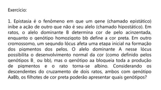Exercício:
1. Epistasia é o fenômeno em que um gene (chamado epistático)
inibe a ação de outro que não é seu alelo (chamado hipostático). Em
ratos, o alelo dominante B determina cor de pelo acinzentada,
enquanto o genótipo homozigoto bb define a cor preta. Em outro
cromossomo, um segundo lócus afeta uma etapa inicial na formação
dos pigmentos dos pelos. O alelo dominante A nesse lócus
possibilita o desenvolvimento normal da cor (como definido pelos
genótipos B_ ou bb), mas o genótipo aa bloqueia toda a produção
de pigmentos e o rato torna-se albino. Considerando os
descendentes do cruzamento de dois ratos, ambos com genótipo
AaBb, os filhotes de cor preta poderão apresentar quais genótipos?
 
