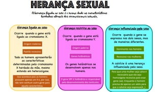 ÁCIDOS NUCLEICOS E HEREDITARIEDADE.pptx.