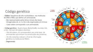 Código genético
o Códon: Sequência de três nucleotídeos nas moléculas
de DNA e RNA, que define um aminoácido
o São representados pelas letras iniciais das bases
nitrogenadas (A, U, C e G) e são organizadas em trincas
o Cada códon corresponde a um aminoácido.
o Código genético: Quatro bases (A, U, C e G), reunidas três
a três , formam 64 códons distintos;
o Dos 64 códons, 61 correspondem aos vinte tipos de
aminoácidos que entram na constituição das proteínas.
o Os três restantes indicam o final da informação
genética na molécula do RNAm.
o Degenerado
 