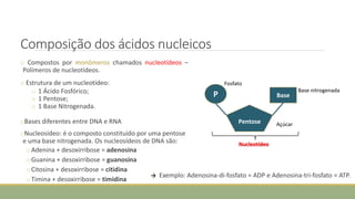 Composição dos ácidos nucleicos
o Compostos por monômeros chamados nucleotídeos –
Polímeros de nucleotídeos.
o Estrutura de um nucleotídeo:
o 1 Ácido Fosfórico;
o 1 Pentose;
o 1 Base Nitrogenada.
oBases diferentes entre DNA e RNA
oNucleosídeo: é o composto constituído por uma pentose
e uma base nitrogenada. Os nucleosídeos de DNA são:
o Adenina + desoxirribose = adenosina
o Guanina + desoxirribose = guanosina
o Citosina + desoxirribose = citidina
o Timina + desoxirribose = timidina
Nucleotídeo
P
Pentose
Base
Base nitrogenada
Açúcar
Fosfato
o Exemplo: Adenosina-di-fosfato = ADP e Adenosina-tri-fosfato = ATP.

 