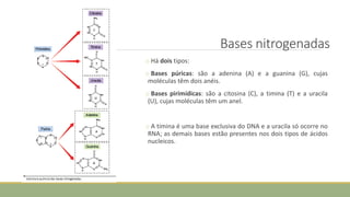 Bases nitrogenadas
o Há dois tipos:
o Bases púricas: são a adenina (A) e a guanina (G), cujas
moléculas têm dois anéis.
o Bases pirimídicas: são a citosina (C), a timina (T) e a uracila
(U), cujas moléculas têm um anel.
o A timina é uma base exclusiva do DNA e a uracila só ocorre no
RNA; as demais bases estão presentes nos dois tipos de ácidos
nucleicos.
CIÊNCIAS, 8º Ano do Ensino Fundamental
Identificação das organelas e suas funções
 