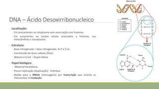 DNA – Ácido Desoxirribonucleico
o Localização:
o Em procariontes no citoplasma sem associação com histonas.
o Em eucariontes no núcleo celular associados a histonas, nas
mitocôndrias e cloroplastos.
o Estrutura:
o Base nitrogenada = base nitrogenada. A=T e C=G
o Constituído de duas cadeias (fitas)
o Watson e Crick – Dupla-hélice
o Papel biológico:
o Material hereditário
o Possui replicação (duplicação) - Intérfase
o Molde para o RNAm (mensageiro) por transcrição que orienta os
ribossomos na tradução.
CIÊNCIAS, 8º Ano do Ensino Fundamental
Identificação das organelas e suas funções
 