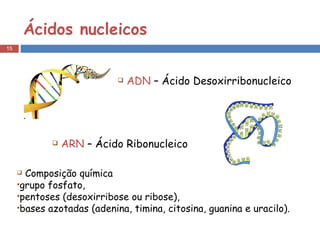 Ácidos nucleicos Composição química  grupo fosfato,  pentoses (desoxirribose ou ribose), bases azotadas (adenina, timina, citosina, guanina e uracilo). ADN  – Ácido Desoxirribonucleico ARN  – Ácido Ribonucleico 