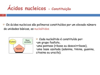 Ácidos nucleicos  - Constituição Os ácidos nucleicos são polímeros constituídos por um elevado número de unidades básicas, os  nucleótidos . Cada nucleótido é constituído por: um grupo fosfato, uma pentose (ribose ou desoxirribose), uma base azotada (adenina, timina, guanina, citosina ou uracilo); 