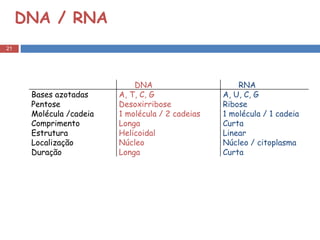 DNA / RNA DNA RNA Bases azotadas A, T, C, G A, U, C, G Pentose Desoxirribose Ribose Molécula /cadeia 1 molécula / 2 cadeias 1 molécula / 1 cadeia Comprimento Longa Curta Estrutura Helicoidal Linear Localização Núcleo Núcleo / citoplasma Duração Longa Curta 