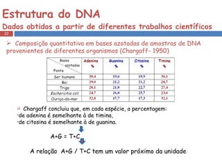 Estrutura do DNA  Dados obtidos a partir de diferentes trabalhos científicos Composição quantitativa em bases azotadas de amostras de DNA provenientes de diferentes organismos (Chargaff- 1950) Chargaff concluiu que, em cada espécie, a percentagem: de adenina é semelhante à de timina,  de citosina é semelhante à de guanina. A+G = T+C  A relação  A+G / T+C tem um valor próximo da unidade 