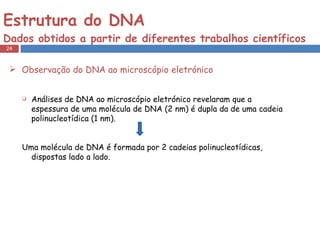 Estrutura do DNA  Dados obtidos a partir de diferentes trabalhos científicos Observação do DNA ao microscópio eletrónico Análises de DNA ao microscópio eletrónico revelaram que a espessura de uma molécula de DNA (2 nm) é dupla da de uma cadeia polinucleotídica (1 nm). Uma molécula de DNA é formada por 2 cadeias polinucleotídicas, dispostas lado a lado. 