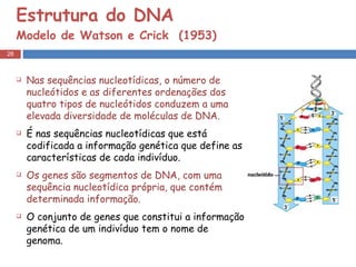 Estrutura do DNA Modelo de Watson e Crick  (1953) Nas sequências nucleotídicas, o número de nucleótidos e as diferentes ordenações dos quatro tipos de nucleótidos conduzem a uma elevada diversidade de moléculas de DNA. É nas sequências nucleotídicas que está codificada a informação genética que define as características de cada indivíduo.  Os genes são segmentos de DNA, com uma sequência nucleotídica própria, que contém determinada informação.  O conjunto de genes que constitui a informação genética de um indivíduo tem o nome de genoma.  