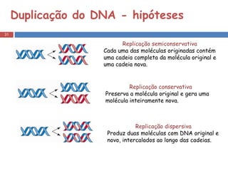 Duplicação do DNA - hipóteses Replicação semiconservativa  Cada uma das moléculas originadas contém uma cadeia completa da molécula original e uma cadeia nova. Replicação conservativa Preserva a molécula original e gera uma molécula inteiramente nova. Replicação dispersiva Produz duas moléculas com DNA original e novo, intercalados ao longo das cadeias. 