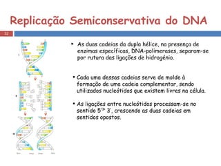 Replicação Semiconservativa do DNA As duas cadeias da dupla hélice, na presença de enzimas específicas, DNA-polimerases, separam-se por rutura das ligações de hidrogénio. Cada uma dessas cadeias serve de molde à formação de uma cadeia complementar, sendo utilizados nucleótidos que existem livres na célula. As ligações entre nucleótidos processam-se no sentido 5’  3’, crescendo as duas cadeias em sentidos opostos. 