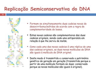 Replicação Semiconservativa do DNA Formam-se simultaneamente duas cadeias novas de desoxirribonucleótidos de acordo com a regra de complementaridade de bases. Estas novas cadeias são complementares das duas cadeias originais, sendo cada uma antiparalela em relação à que lhe serviu de molde. Como cada uma das novas cadeias é uma réplica de uma das cadeias originais, as duas novas moléculas de DNA são iguais à molécula de DNA original.  Deste modo é transmitido e conservado o património genético de geração em geração (transmitido porque a partir de uma molécula formam-se duas; conservado porque as novas moléculas são iguais à original).  