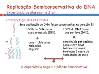   Replicação Semiconservativa do DNA   Experiência de Meselson e Stahl Se a duplicação do DNA fosse conservativa, na geração G1: Interpretação dos Resultados constituído   pelas moléculas originais constituído por cadeias polinucleotídicas totalmente novas, formadas à custa de nucleótidos do meio 50% do DNA teria que ser pesado (15N) 50% do DNA teria que ser leve (14N),  A experiência nega a hipótese conservativa 