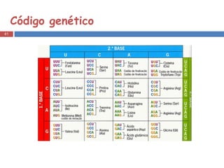 Código genético 