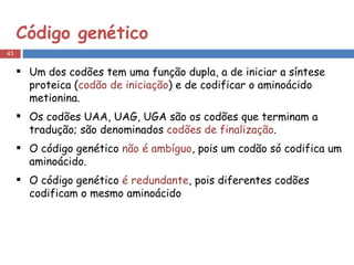 Código genético Um dos codões tem uma função dupla, a de iniciar a síntese proteica ( codão de iniciação ) e de codificar o aminoácido metionina. Os codões UAA, UAG, UGA são os codões que terminam a tradução; são denominados  codões de finalização . O código genético  não é ambíguo , pois um codão só codifica um aminoácido. O código genético  é redundante , pois diferentes codões codificam o mesmo aminoácido 