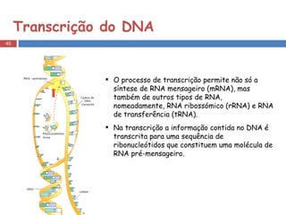 Transcrição do DNA O processo de transcrição permite não só a síntese de RNA mensageiro (mRNA), mas também de outros tipos de RNA, nomeadamente, RNA ribossómico (rRNA) e RNA de transferência (tRNA).  Na transcrição a informação contida no DNA é transcrita para uma sequência de ribonucleótidos que constituem uma molécula de RNA pré-mensageiro. 