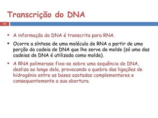 Transcrição do DNA A informação do DNA é transcrita para RNA.  Ocorre a síntese de uma molécula de RNA a partir de uma porção da cadeia de DNA que lhe serve de molde (só uma das cadeias de DNA é utilizada como molde). A RNA polimerase fixa-se sobre uma sequência de DNA, desliza ao longo dela, provocando a quebra das ligações de hidrogénio entre as bases azotadas complementares e consequentemente a sua abertura. 