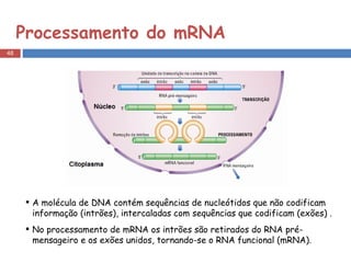 Processamento do mRNA A molécula de DNA contém sequências de nucleótidos que não codificam informação (intrões), intercaladas com sequências que codificam (exões) . No processamento de mRNA os intrões são retirados do RNA pré-mensageiro e os exões unidos, tornando-se o RNA funcional (mRNA). 