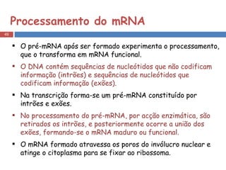 Processamento do mRNA O pré-mRNA após ser formado experimenta o processamento, que o transforma em mRNA funcional. O DNA contém sequências de nucleótidos que não codificam informação (intrões) e sequências de nucleótidos que codificam informação (exões). Na transcrição forma-se um pré-mRNA constituído por intrões e exões. No processamento do pré-mRNA, por acção enzimática, são retirados os intrões, e posteriormente ocorre a união dos exões, formando-se o mRNA maduro ou funcional. O mRNA formado atravessa os poros do invólucro nuclear e atinge o citoplasma para se fixar ao ribossoma. 
