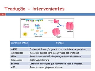 Tradução - intervenientes Intervenientes Função mRNA Contém a informação genética para a síntese de proteínas. Aminoácidos Moléculas básicas para a construção das proteínas. tRNA Transfere os aminoácidos para junto dos ribossomas. Ribossomas Sistemas de leitura. Enzimas Catalisam as reações que ocorrem em todo o processo. ATP Transfere energia para o sistema. 