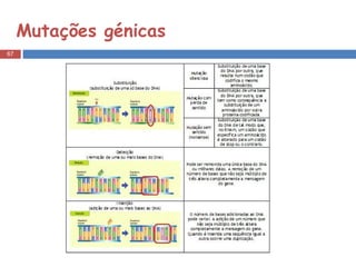 Mutações génicas  